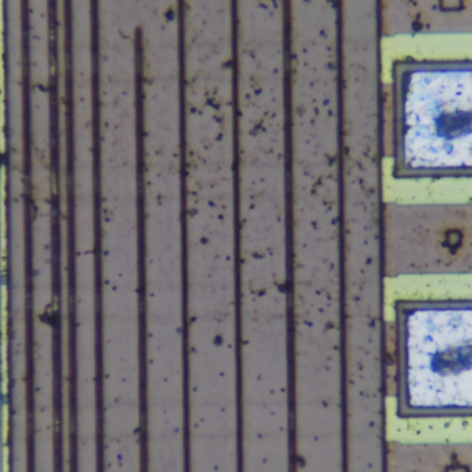 c2 r81