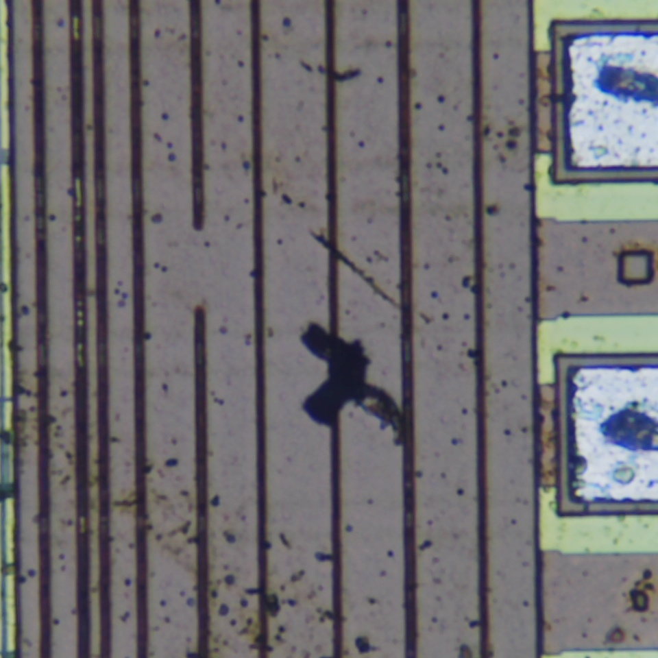 c2 r95