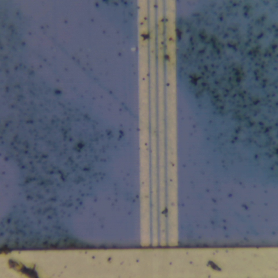 c7 r56