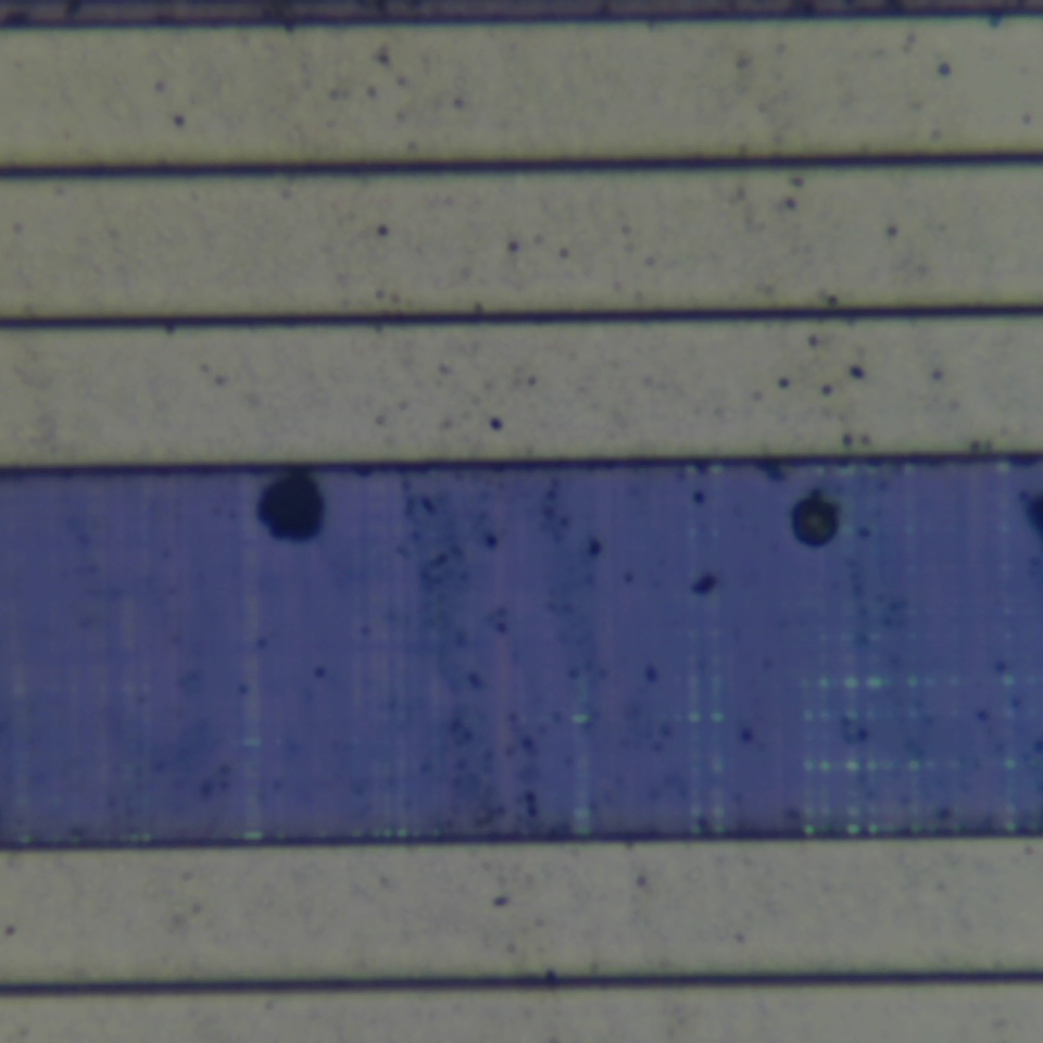 c12 r19