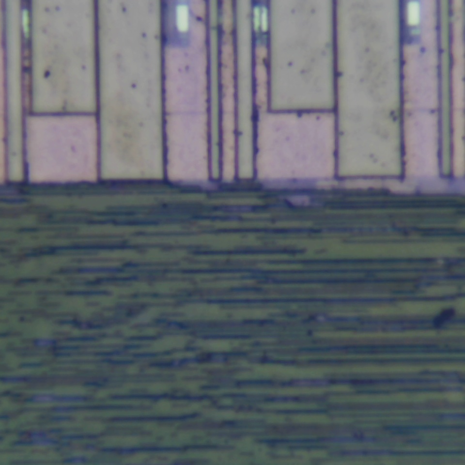 c14 r31