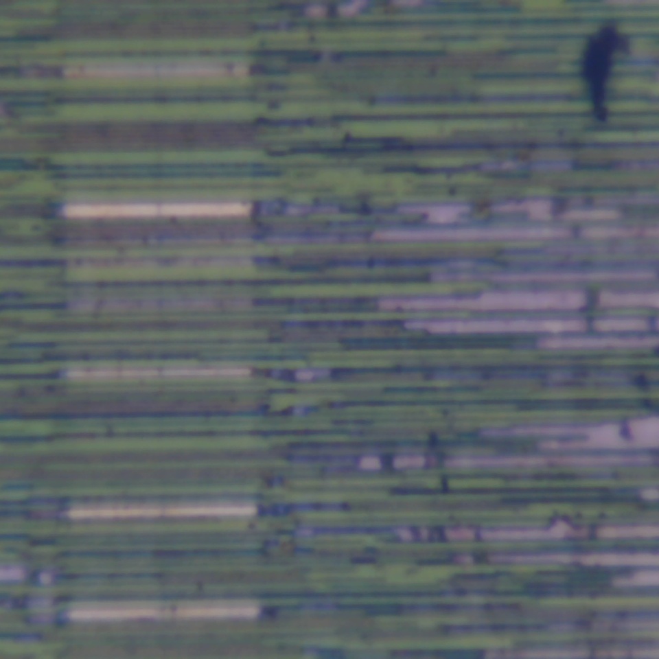 c19 r14