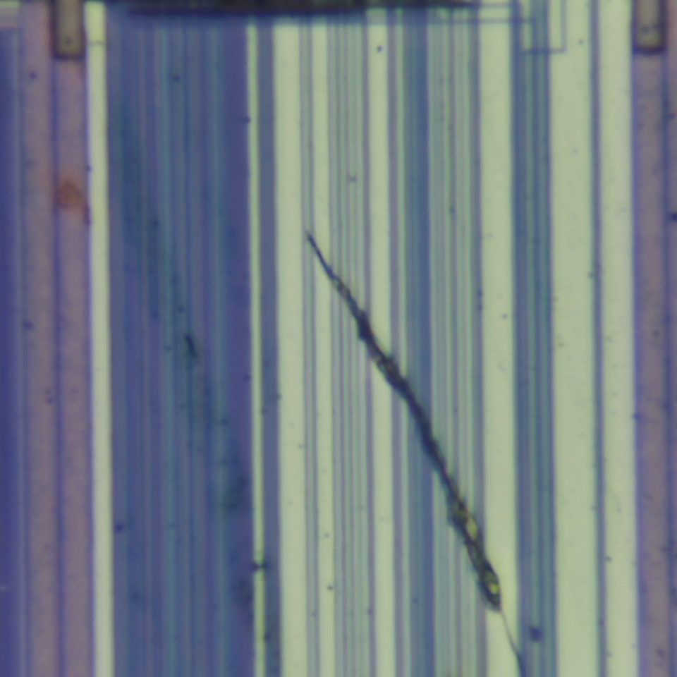 c19 r36