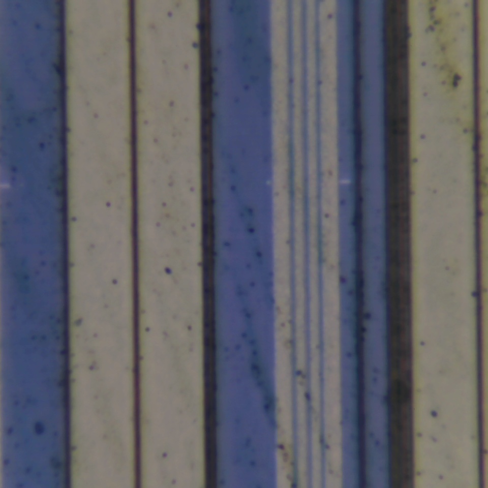 c19 r41