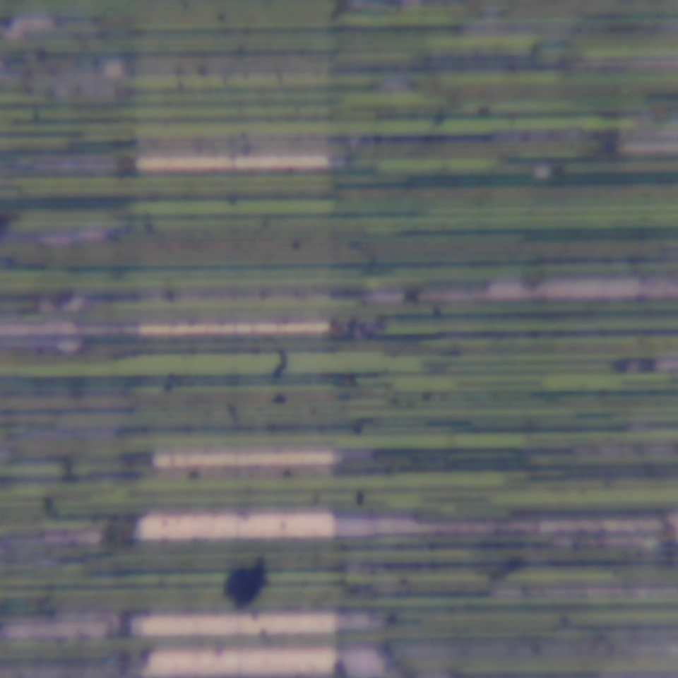 c19 r54