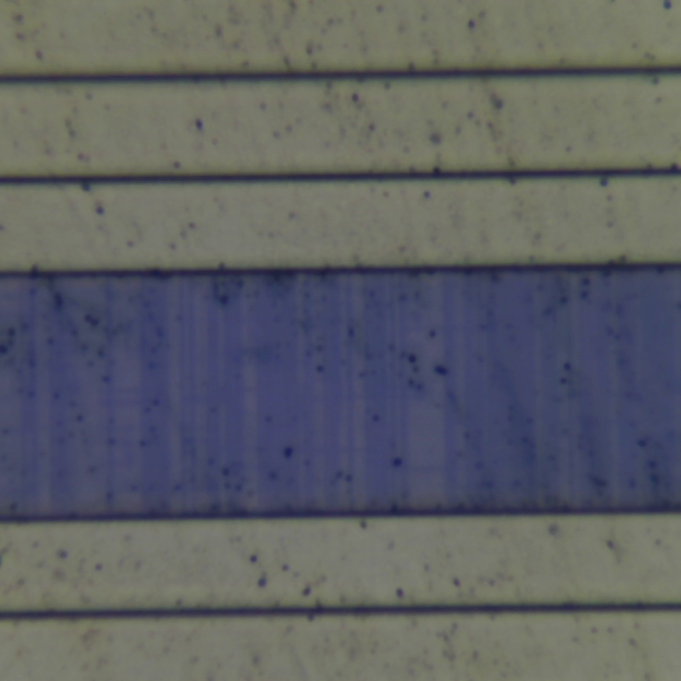 c21 r19
