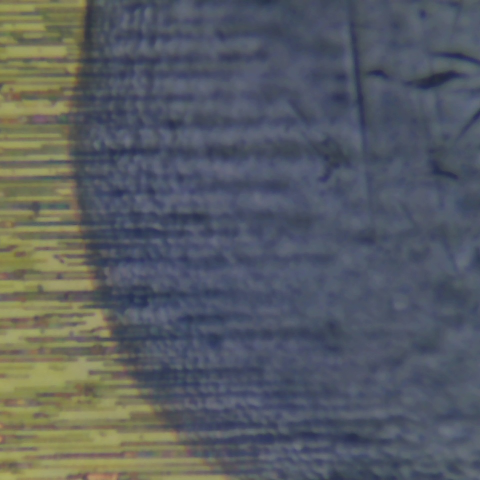 c21 r110