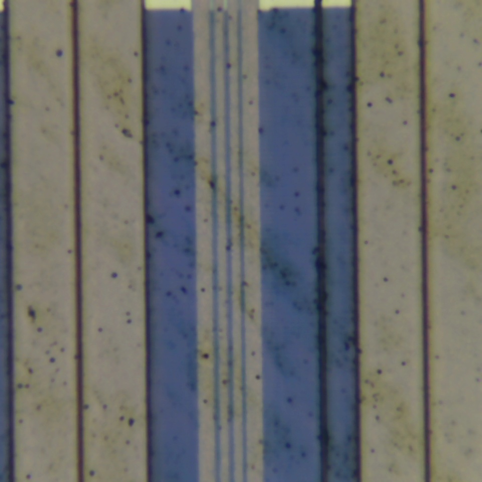 c24 r1