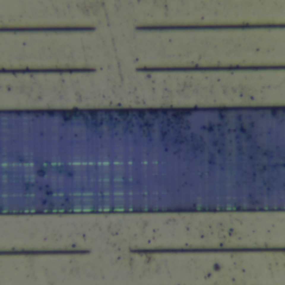 c24 r19