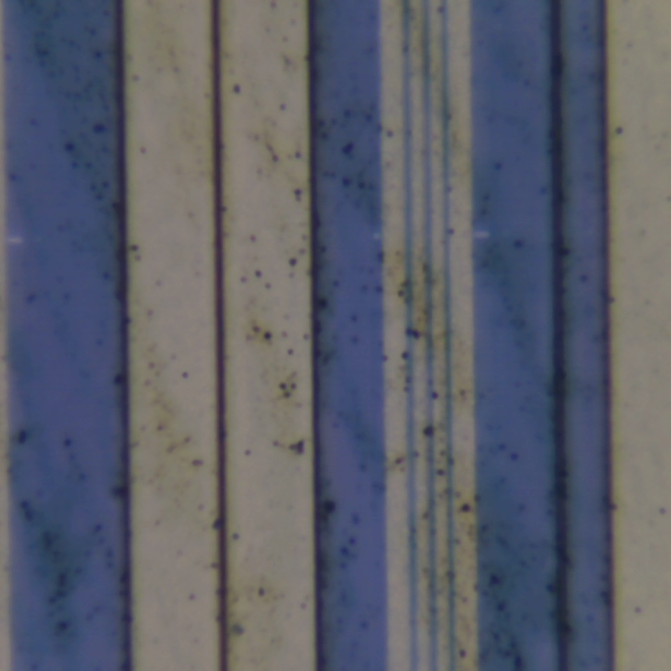 c24 r41