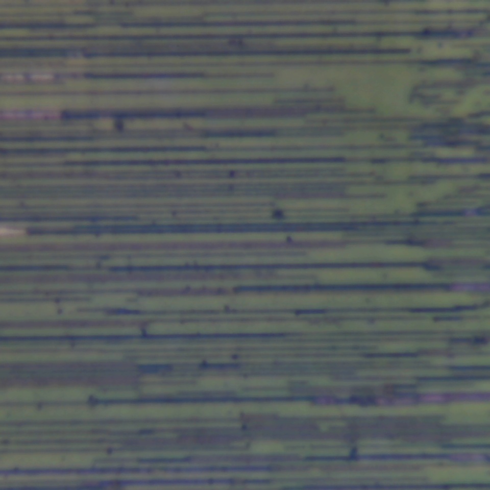 c25 r29