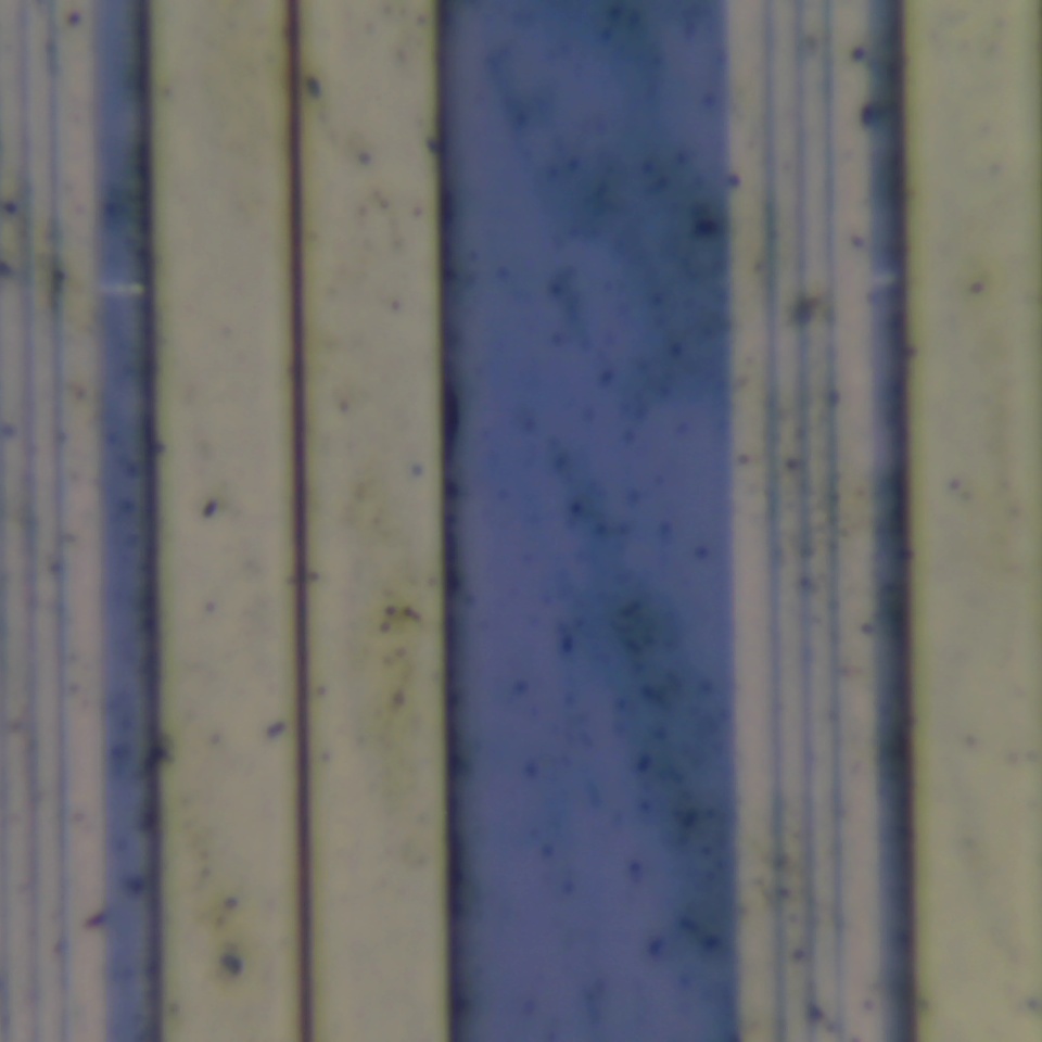 c25 r34