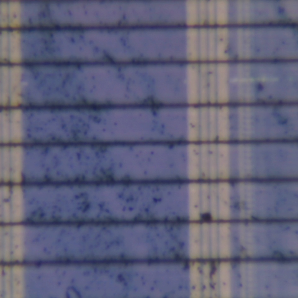 c31 r12