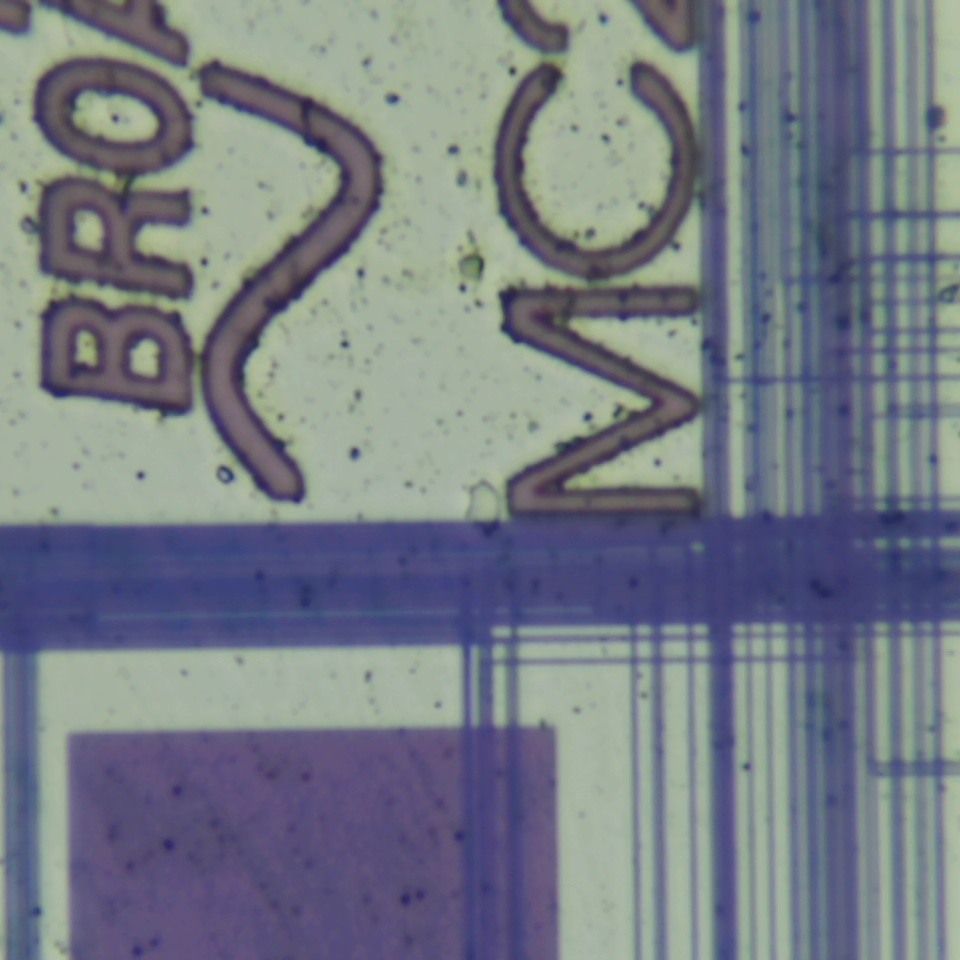 c31 r25