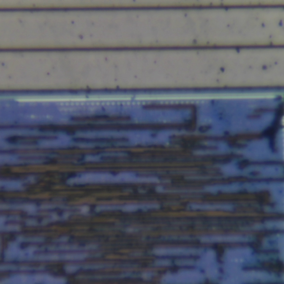 c31 r44