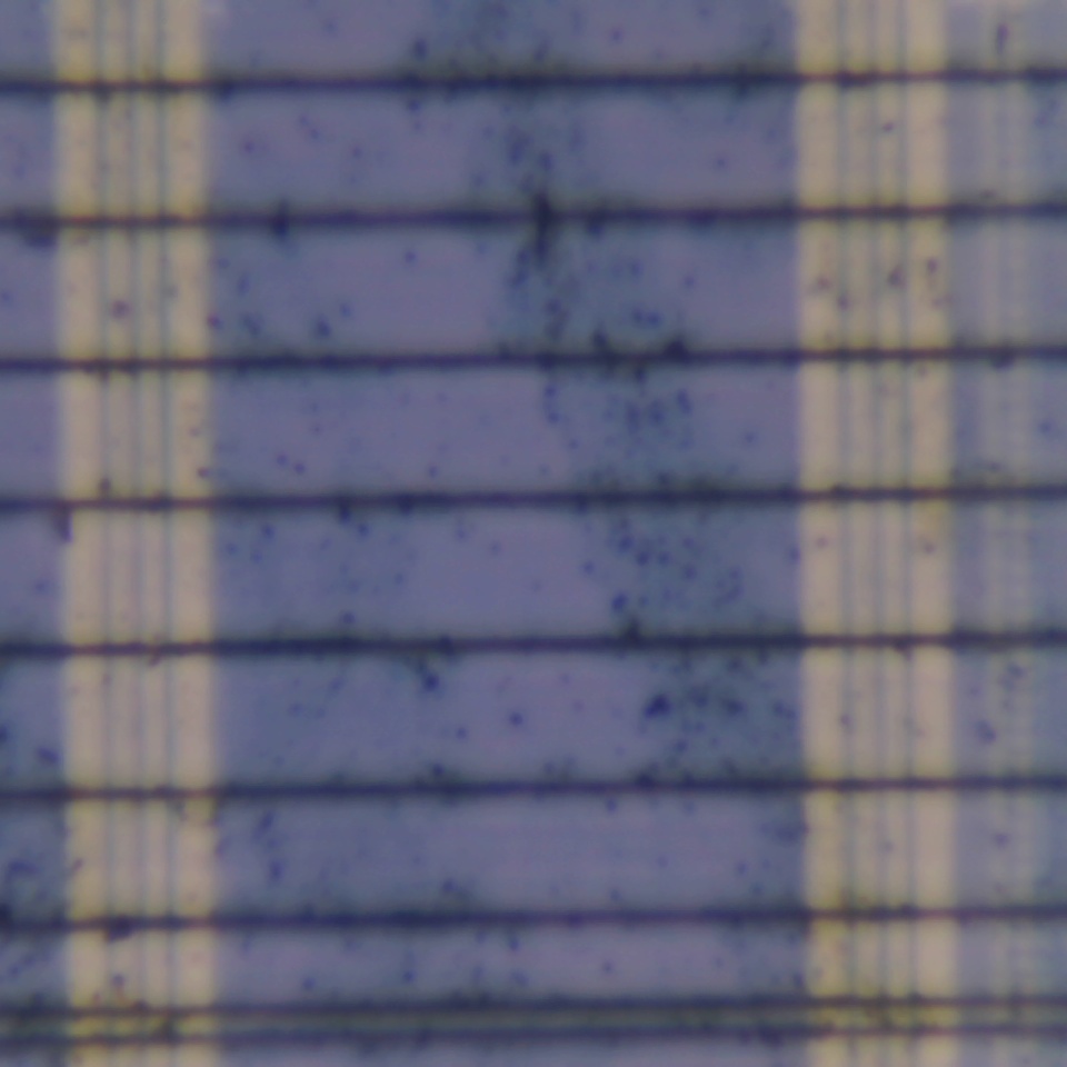 c31 r54
