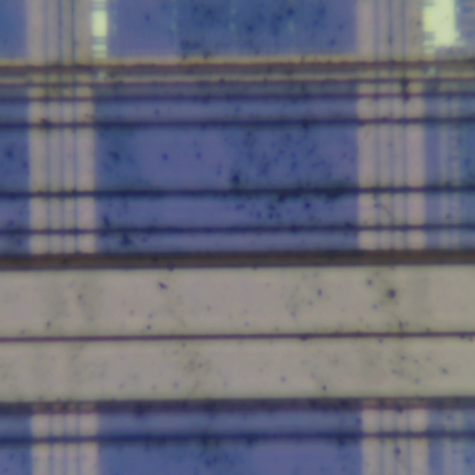 c31 r58