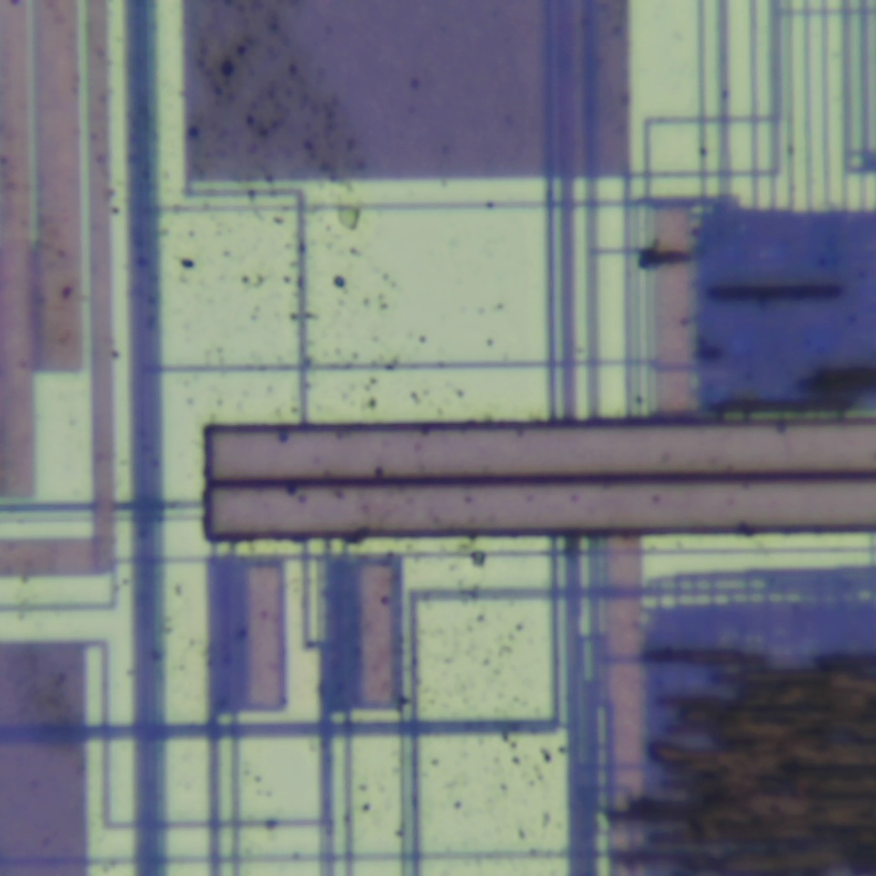 c31 r64