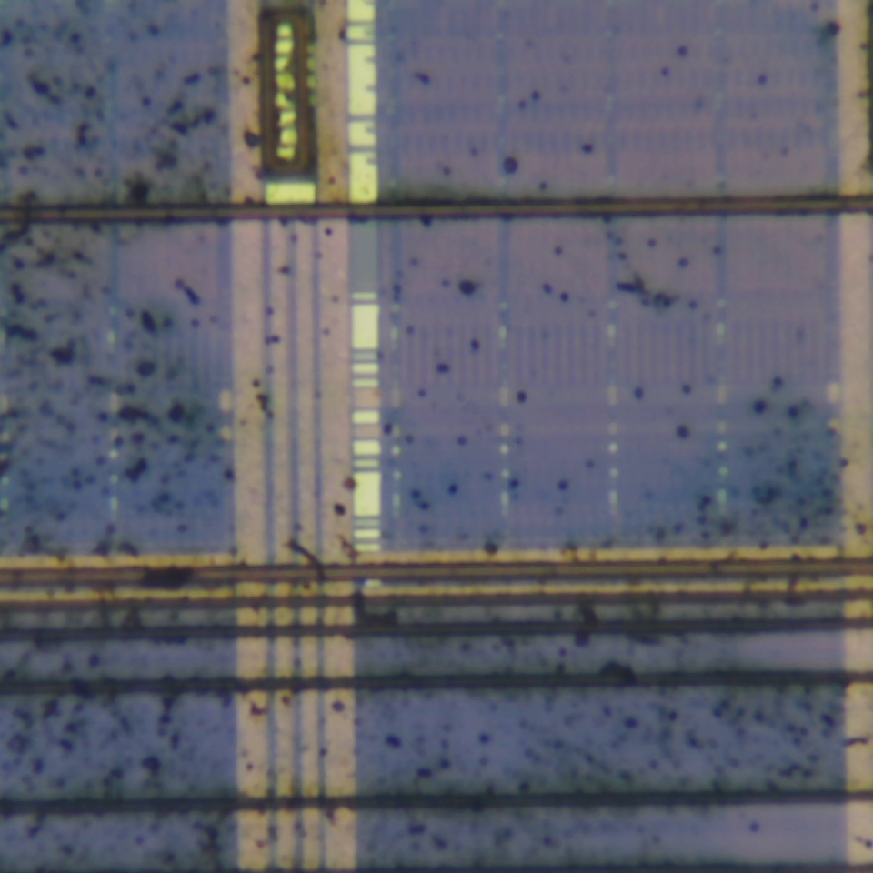 c31 r101
