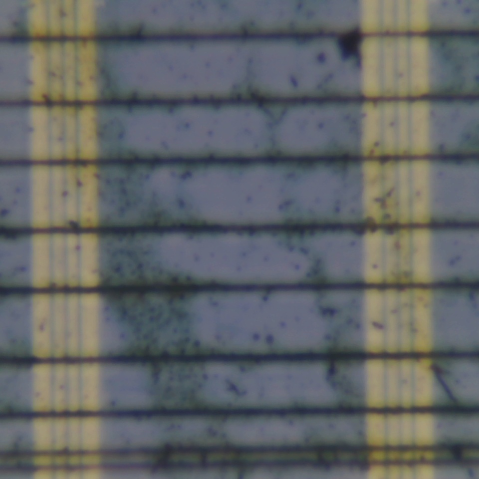 c33 r54