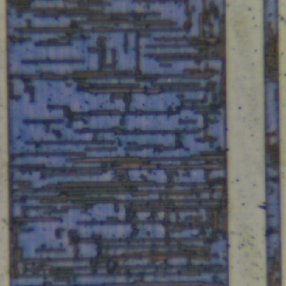 c33 r81