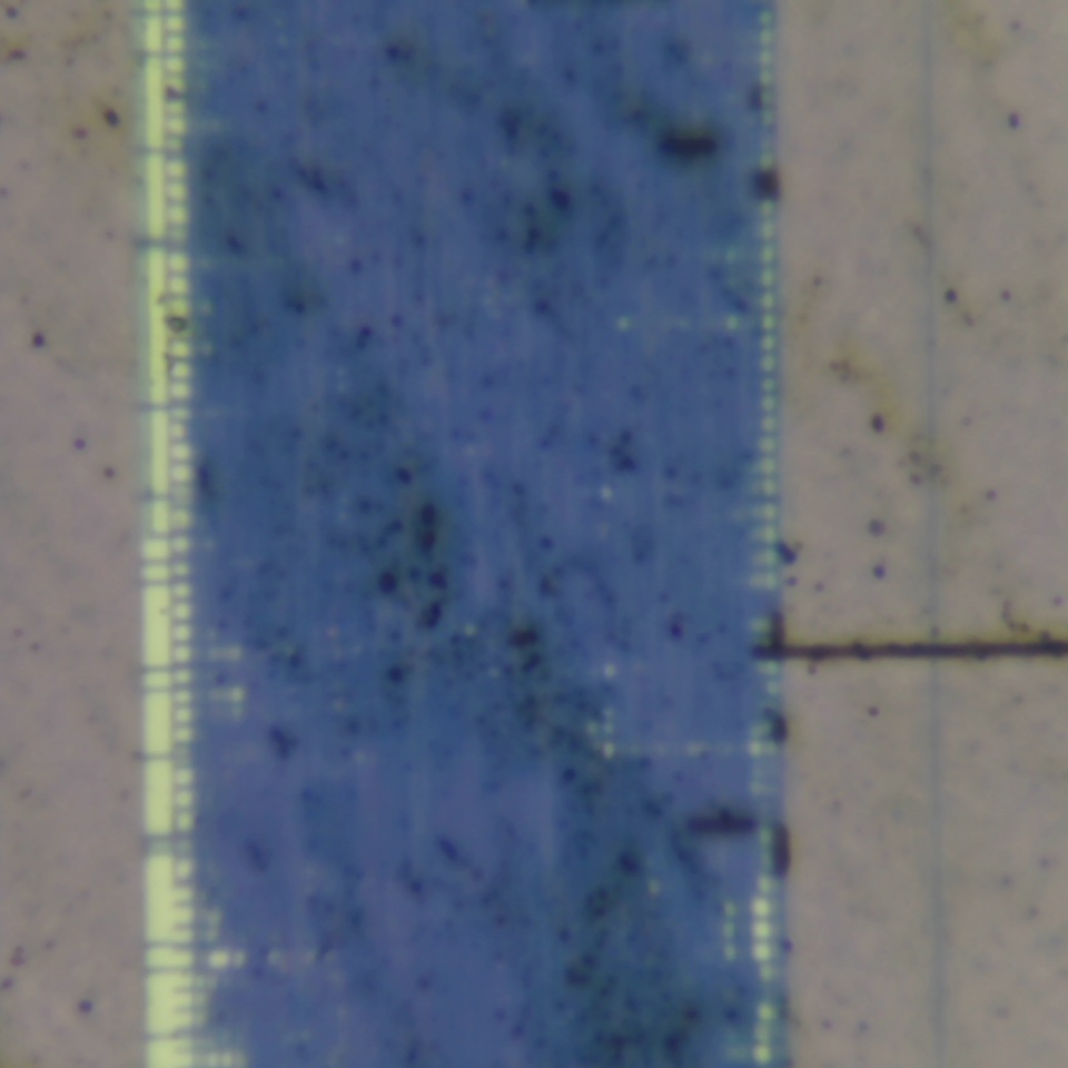 c36 r12