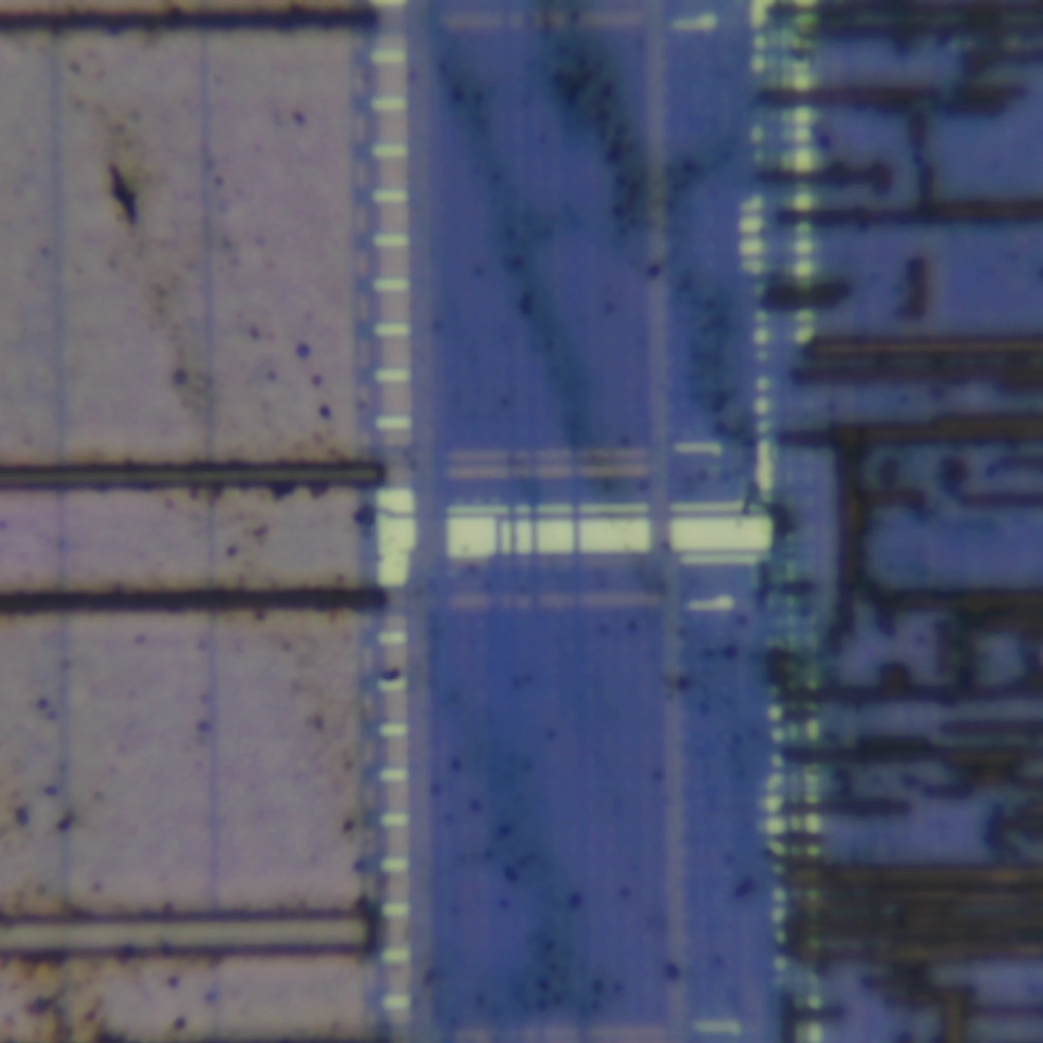 c36 r81