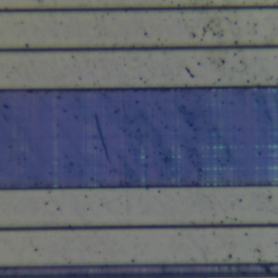 c51 r19