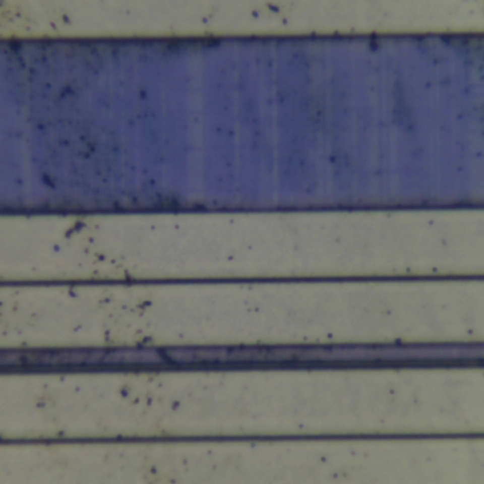 c54 r61