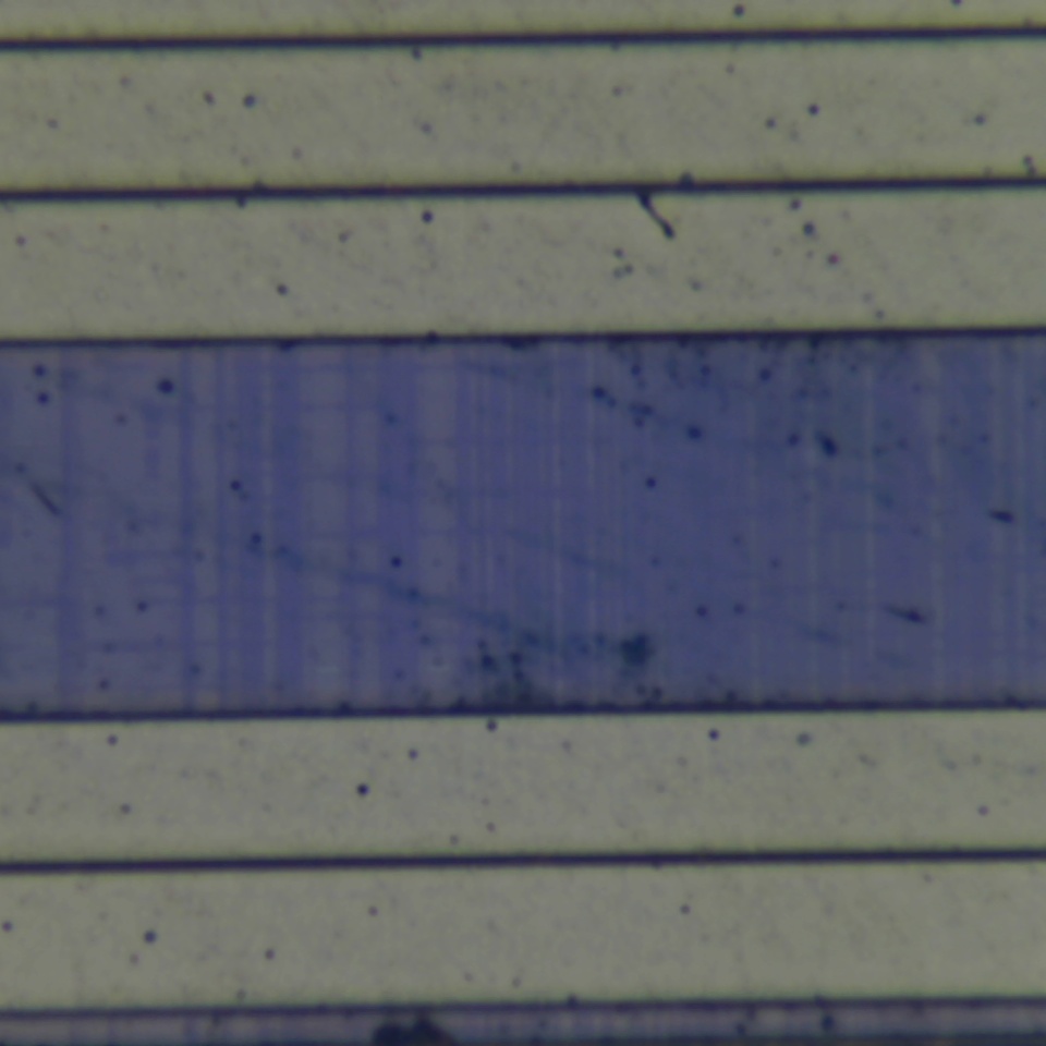 c56 r19