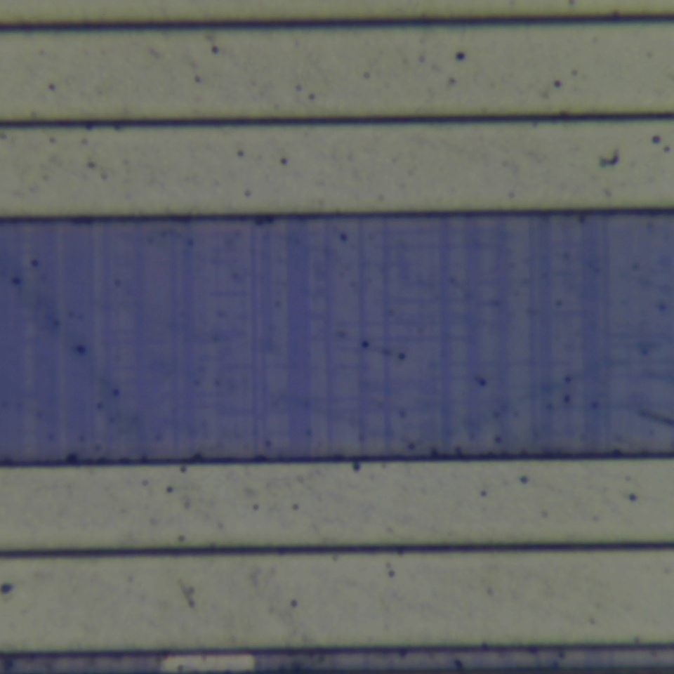 c58 r19