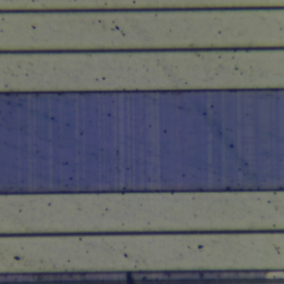c59 r19