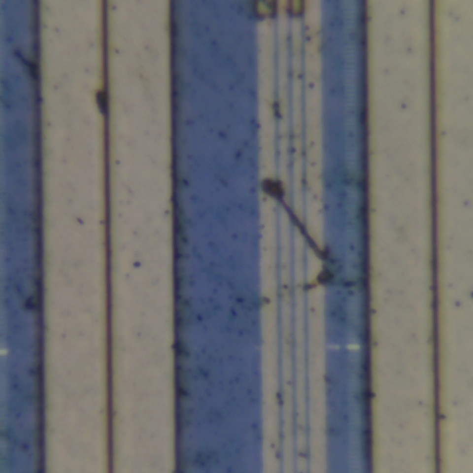 c66 r36