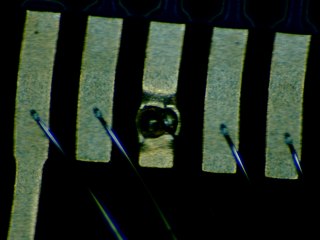 20260506181956951.tif