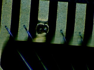20260506182003960.tif