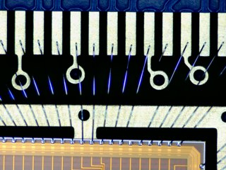 20260506182453450.tif