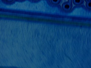 20260506182648573.tif