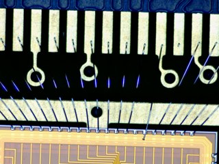 20260506182902724.tif