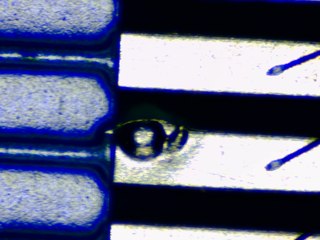 20260506183227091.tif