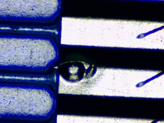 20260506183233102.tif