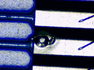 20260506183240096.tif