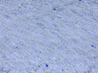 20260506183245091.tif
