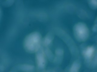 20260507090210826.tif