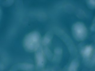 20260507090211809.tif