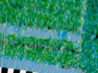 20260507090213816.tif