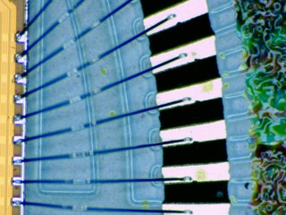 20260507090251889.tif