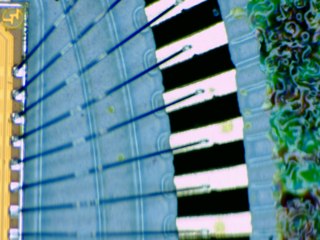 20260507090253877.tif