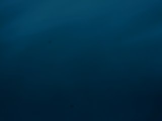 20260507090348927.tif