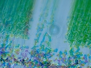 20260507090356972.tif