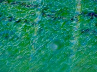 20260507090359983.tif